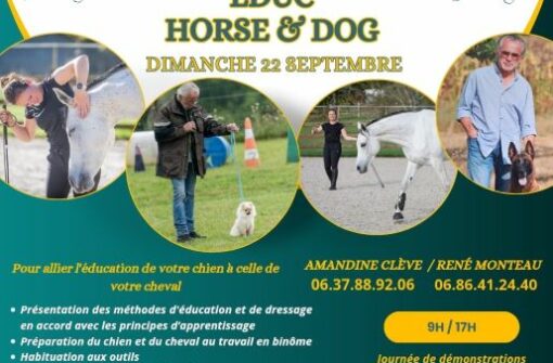 Journée educ horse & dog 22 septembre