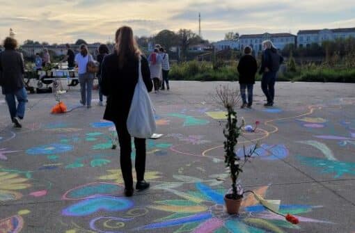 Les plantes sauvages en ville