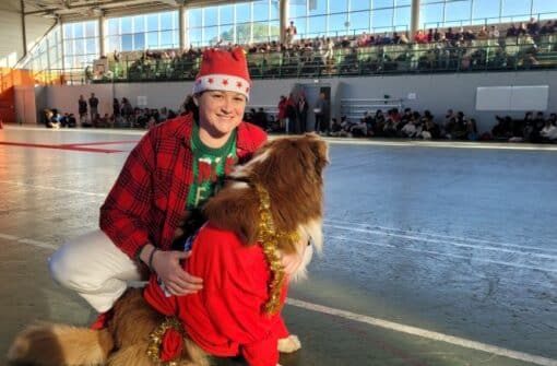 Un chien dans le collège pour la médiation animale